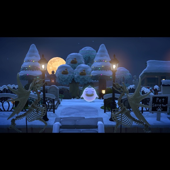 Meet your Posher, Jordan - Picture 9 of 10